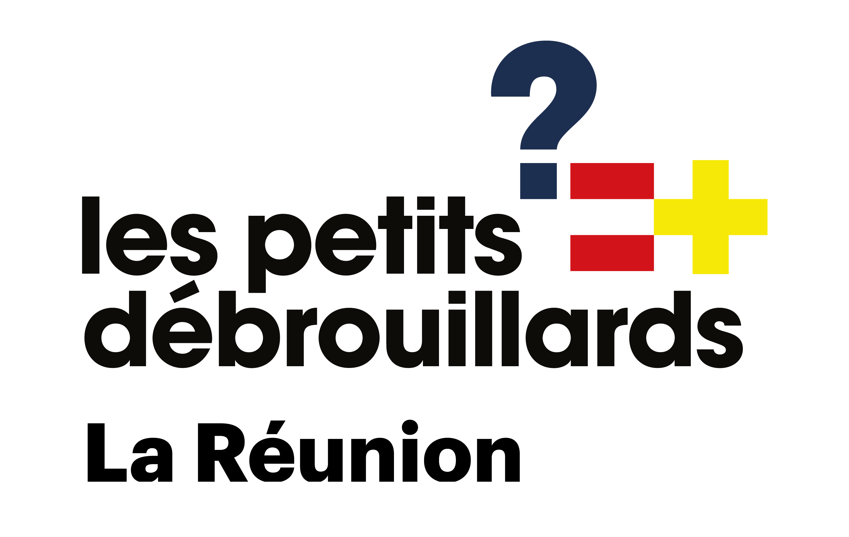 Les Petits Débrouillards de la Réunion Logo